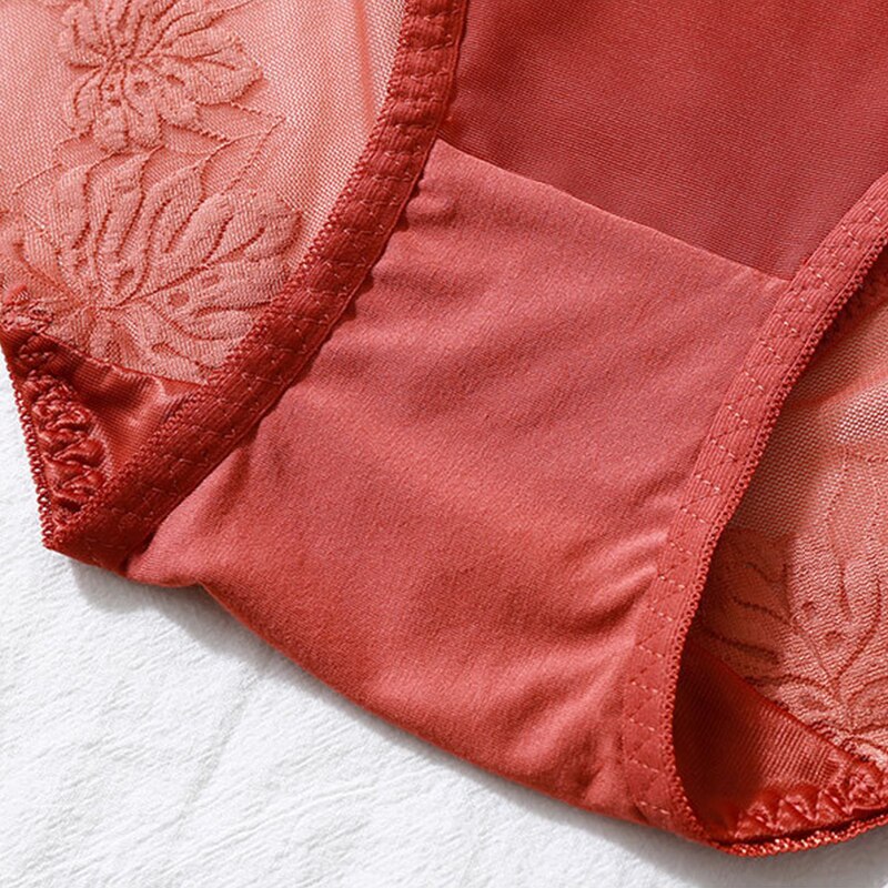 Back view of large size lace cotton briefs on curvy model