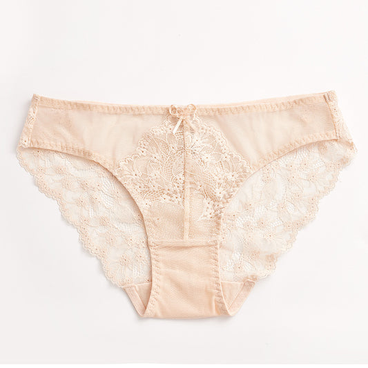 Plus size woman wearing French style lace briefs front view