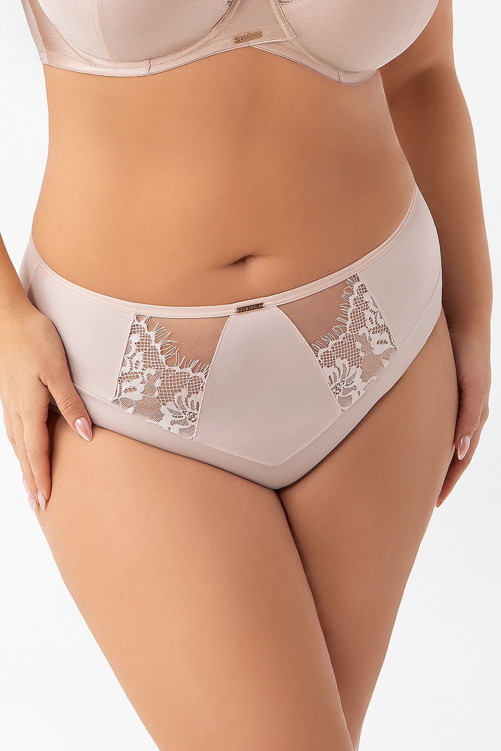 High waisted embroidered panties with mesh details in elegant style