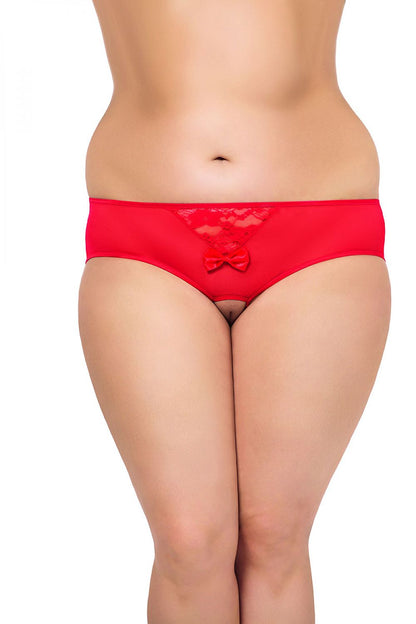 Front view of open crotch bikini panties with lace insert
